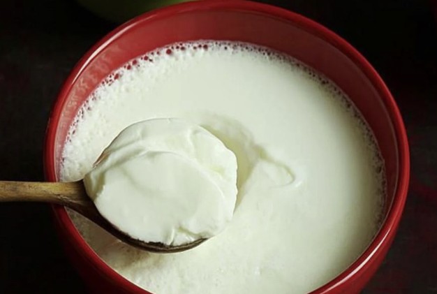 প্রতিদিনের খাদ্য তালিকায় দই জরুরি কেন?
