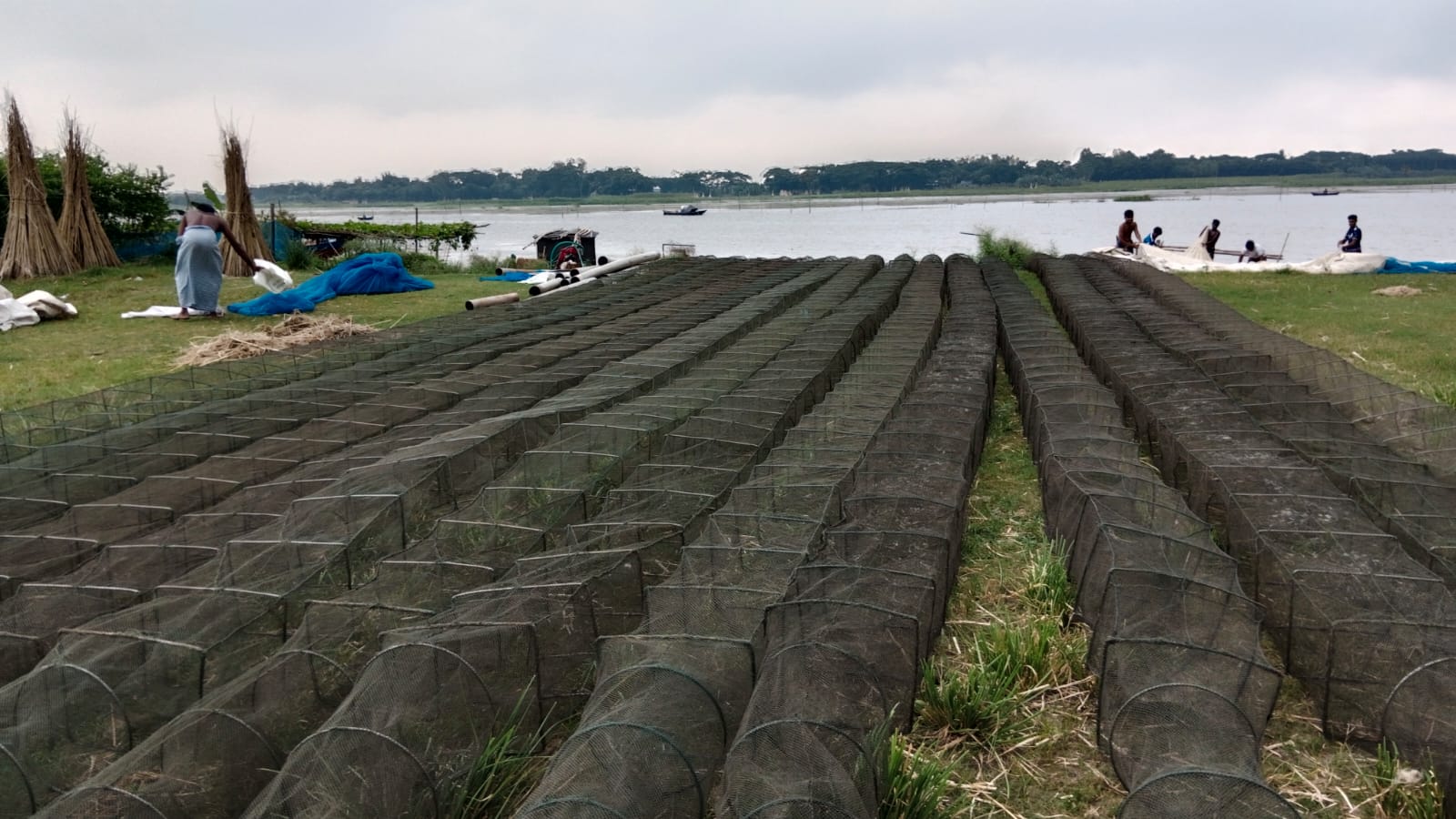 চায়না দুয়ারী’তে সয়লাব জলাশয়
