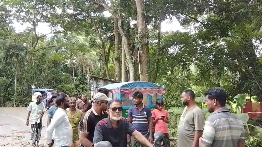 মাদারীপুরে যাত্রী ছাউনি নির্মাণের নামে সরকারি গাছ বিক্রির অভিযোগ, বিএনপি নেতাকে অবরুদ্ধ এলাকাবাসীর